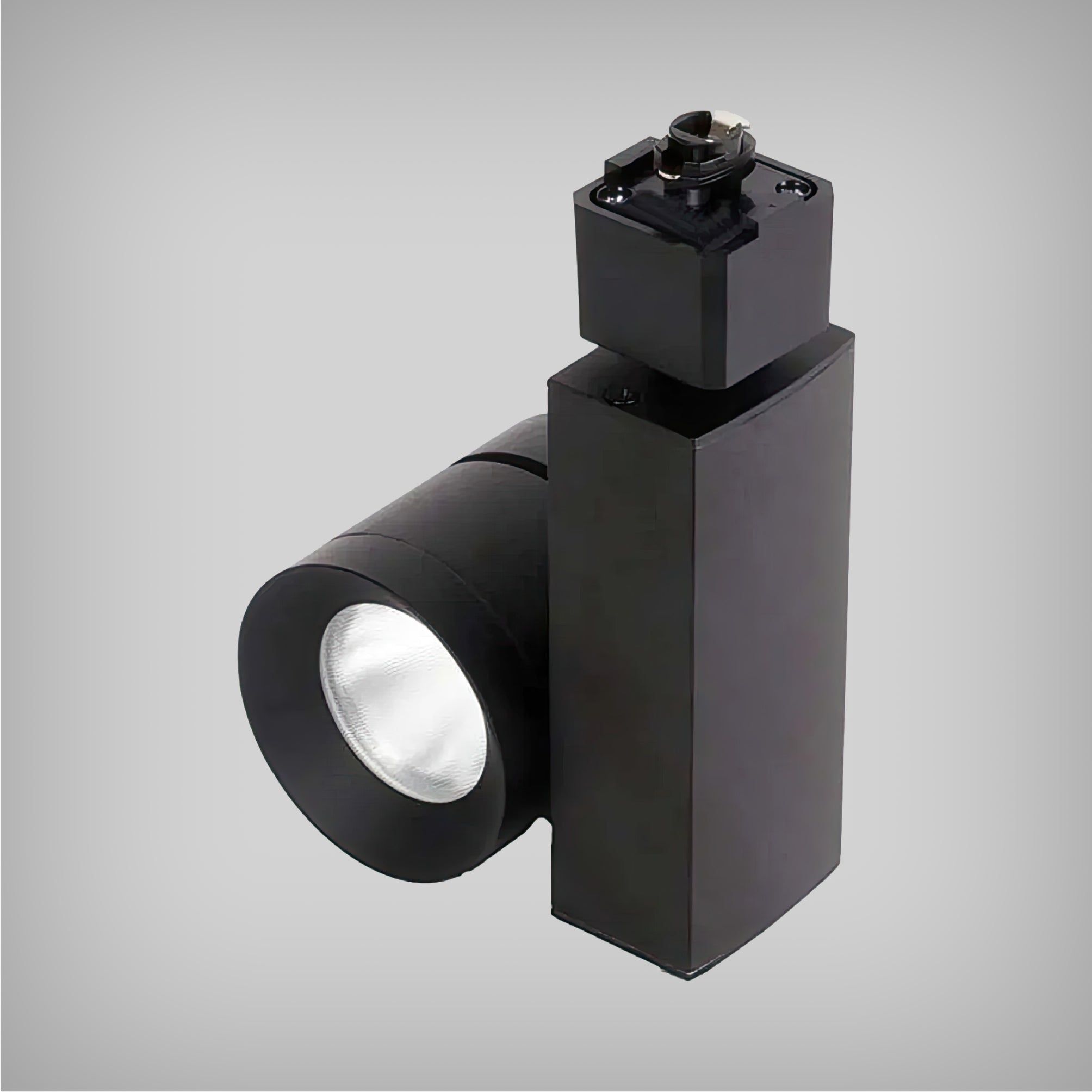 Adjustable Track Light with Architectural LED