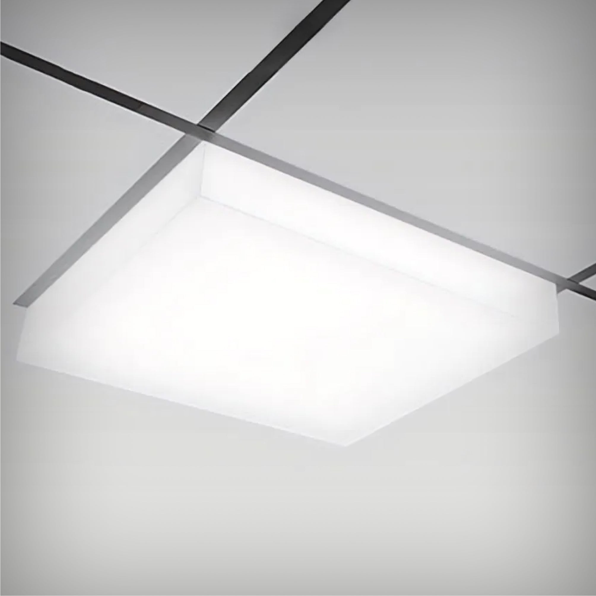 Acrylic LED Drop Light Fixture