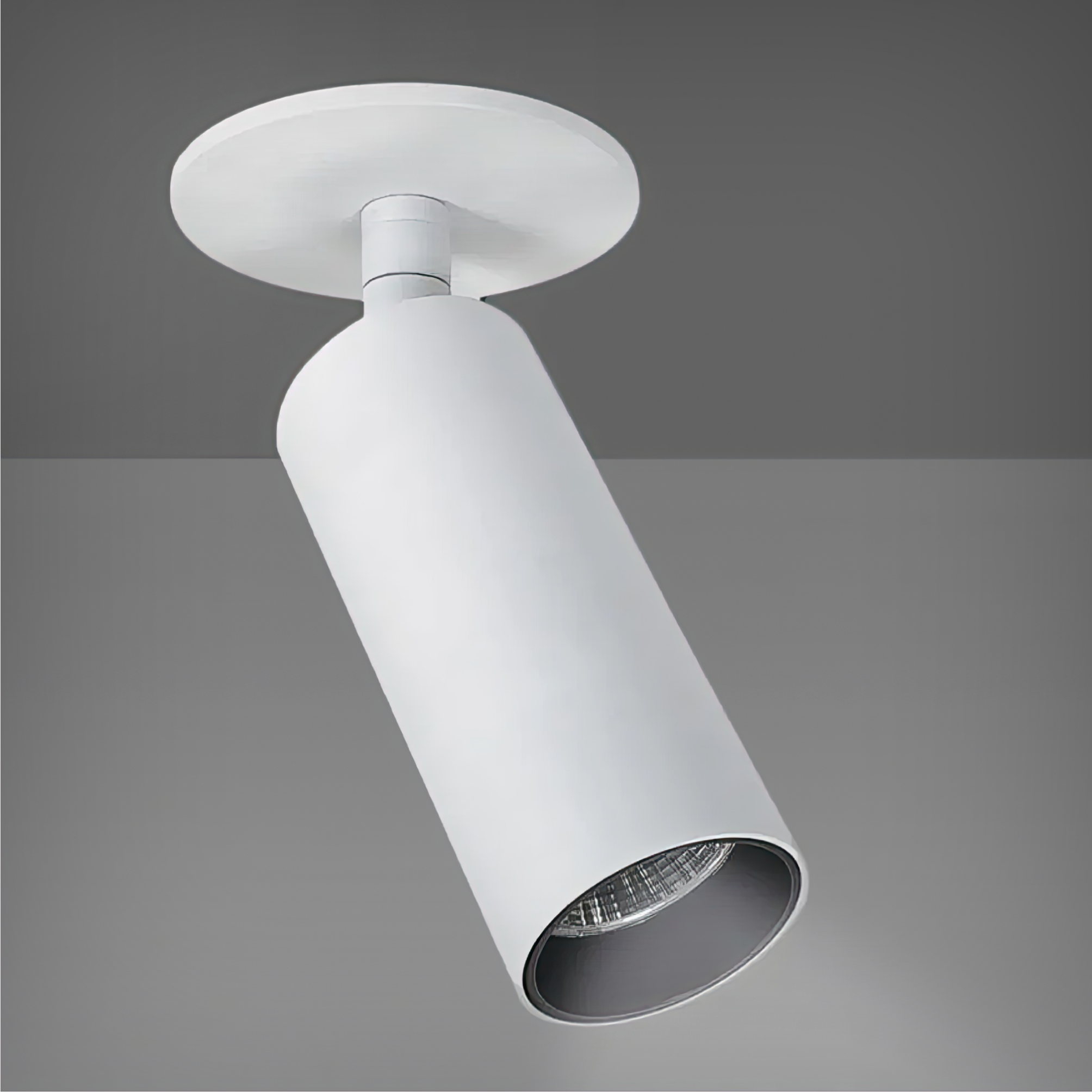 Monopoint Ceiling LED Light with 1-Inch Adjustable Feature – LED Lights ...