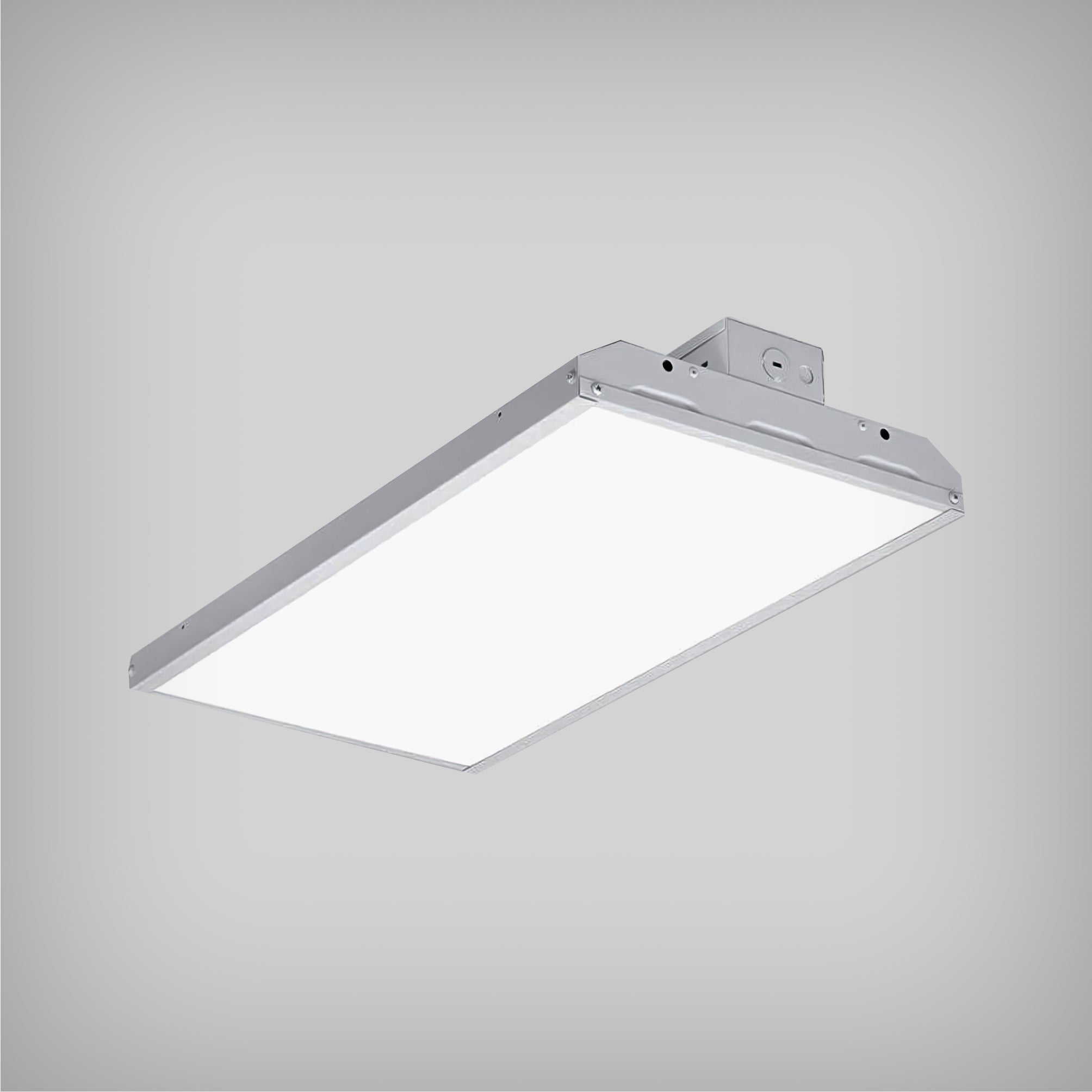 High-Bay Pendant or Ceiling Surface Light